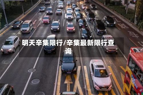 明天辛集限行/辛集最新限行查询-第3张图片