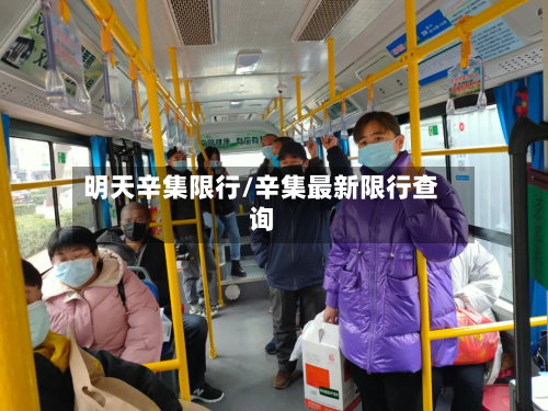 明天辛集限行/辛集最新限行查询-第2张图片