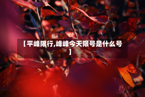 【平峰限行,峰峰今天限号是什么号】