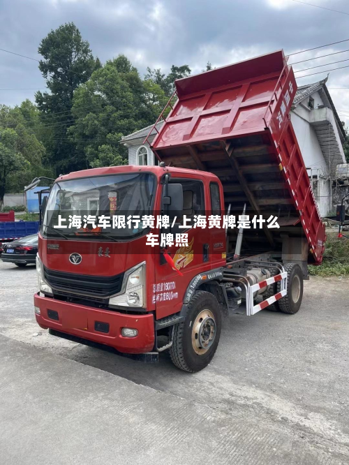 上海汽车限行黄牌/上海黄牌是什么车牌照