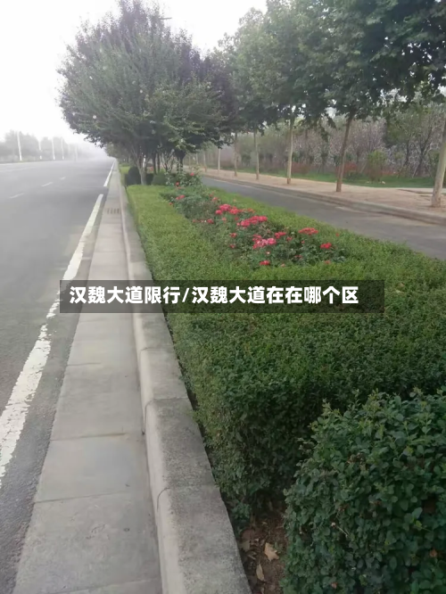 汉魏大道限行/汉魏大道在在哪个区-第2张图片