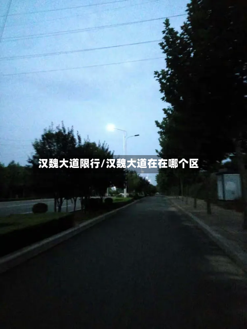 汉魏大道限行/汉魏大道在在哪个区