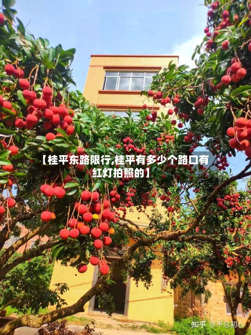 【桂平东路限行,桂平有多少个路口有红灯拍照的】