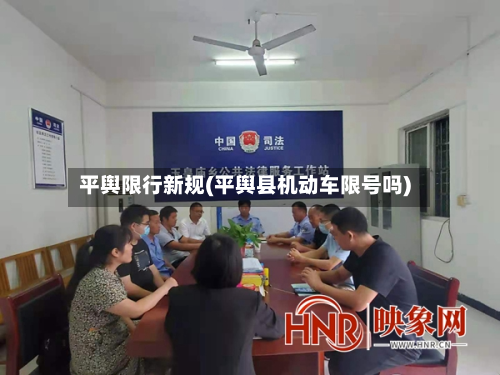 平舆限行新规(平舆县机动车限号吗)