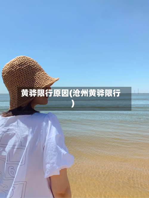 黄骅限行原因(沧州黄骅限行)