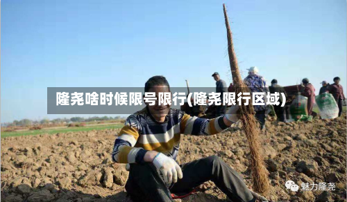 隆尧啥时候限号限行(隆尧限行区域)