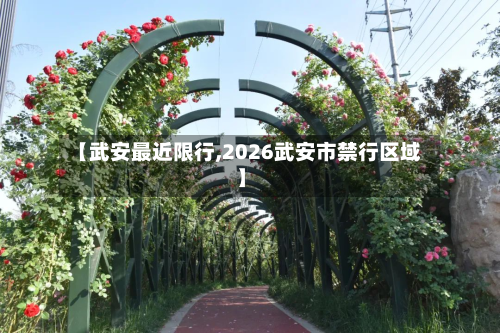 【武安最近限行,2026武安市禁行区域】-第2张图片