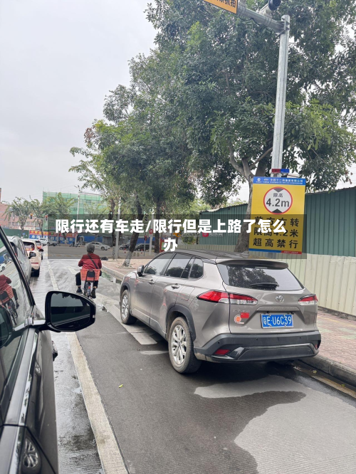 限行还有车走/限行但是上路了怎么办-第2张图片