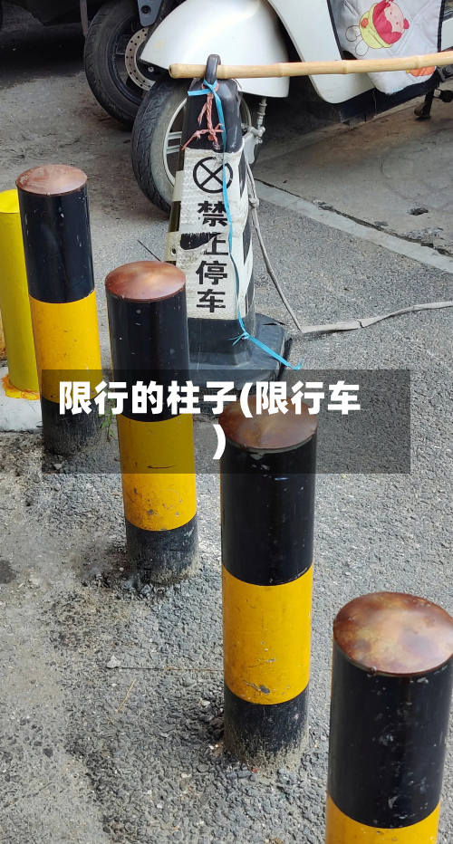 限行的柱子(限行车)