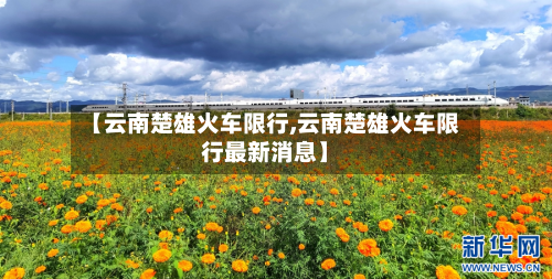【云南楚雄火车限行,云南楚雄火车限行最新消息】-第2张图片