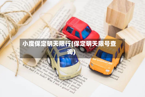 小度保定明天限行(保定明天限号查询)