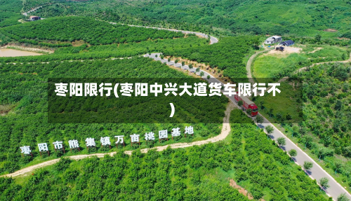 枣阳限行(枣阳中兴大道货车限行不)-第2张图片