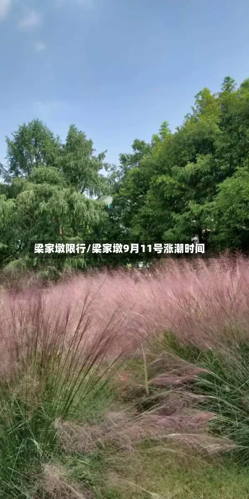 梁家墩限行/梁家墩9月11号涨潮时间-第2张图片
