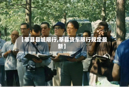 【莘县县城限行,莘县货车限行规定最新】-第3张图片