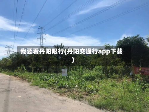 我要看丹阳限行(丹阳交通行app下载)