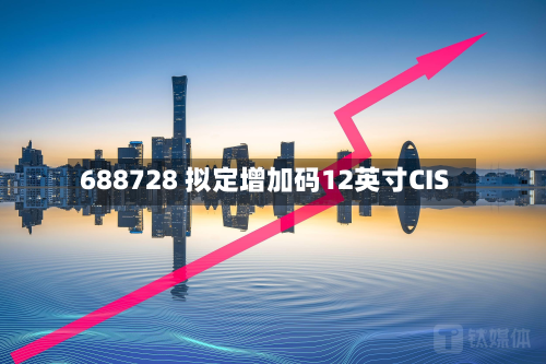 688728 拟定增加码12英寸CIS-第2张图片