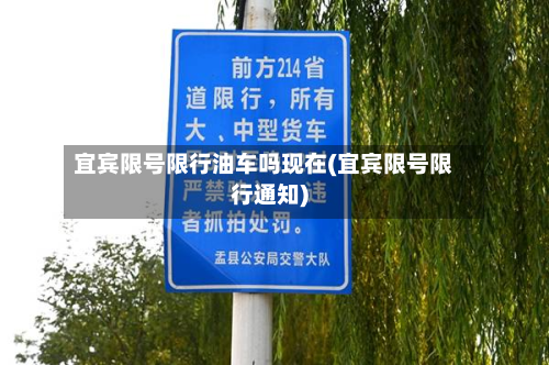 宜宾限号限行油车吗现在(宜宾限号限行通知)-第3张图片