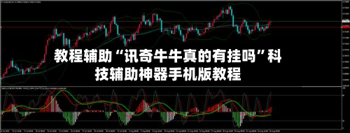 教程辅助“讯奇牛牛真的有挂吗”科技辅助神器手机版教程
