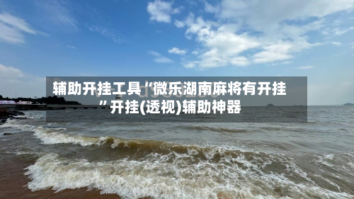 辅助开挂工具“微乐湖南麻将有开挂”开挂(透视)辅助神器