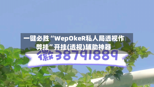 一键必胜“WepOkeR私人局透视作弊挂	”开挂(透视)辅助神器-第2张图片
