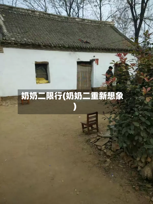 奶奶二限行(奶奶二重新想象)
