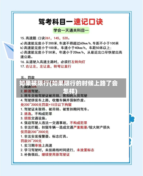 如果被限行(如果限行的时候上路了会怎样)-第3张图片