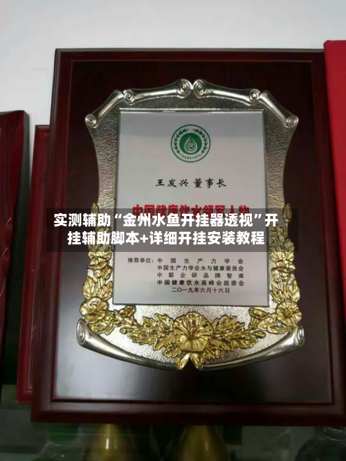 实测辅助“金州水鱼开挂器透视”开挂辅助脚本+详细开挂安装教程