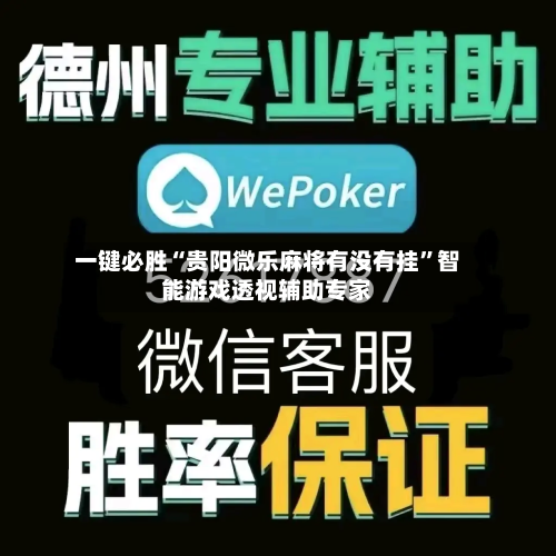一键必胜“贵阳微乐麻将有没有挂”智能游戏透视辅助专家