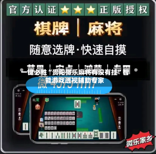 一键必胜“贵阳微乐麻将有没有挂”智能游戏透视辅助专家-第2张图片