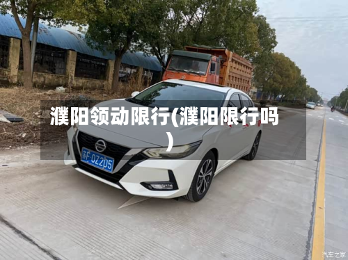 濮阳领动限行(濮阳限行吗)-第2张图片