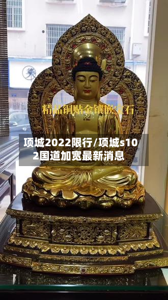 项城2022限行/项城s102国道加宽最新消息