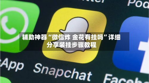 辅助神器“微信炸 金花有挂吗	”详细分享装挂步骤教程-第2张图片