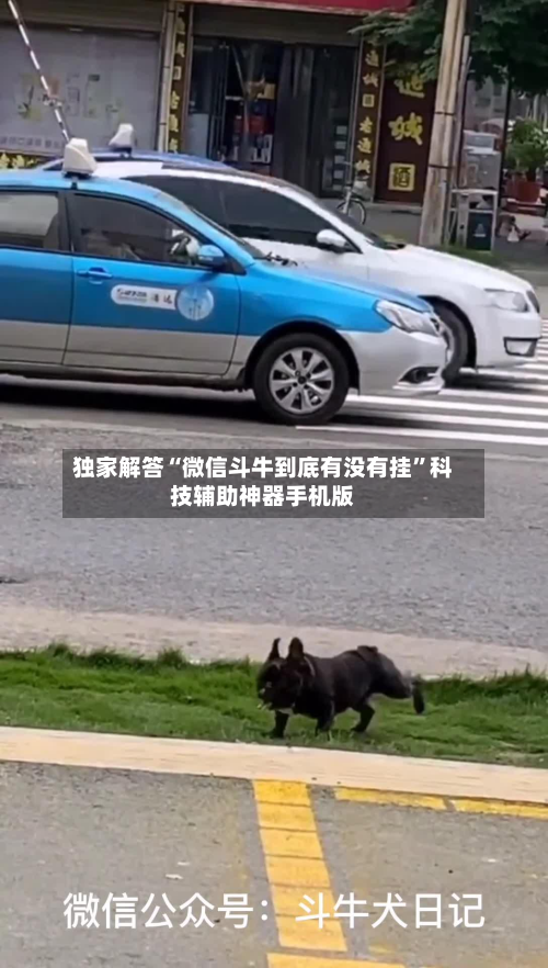 独家解答“微信斗牛到底有没有挂”科技辅助神器手机版
