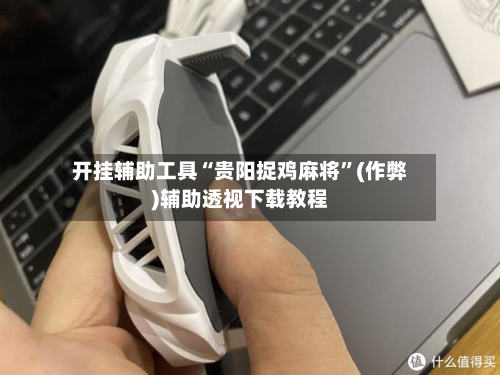 开挂辅助工具“贵阳捉鸡麻将”(作弊)辅助透视下载教程-第3张图片