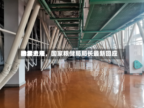 世界粮食费用持续上涨，国家粮储局局长最新回应