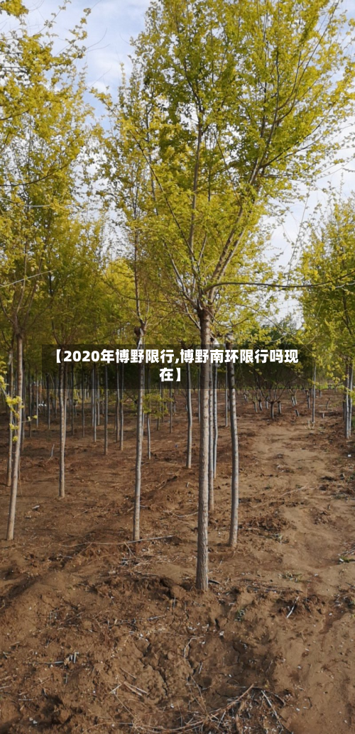 【2020年博野限行,博野南环限行吗现在】