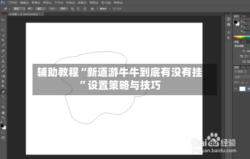 辅助教程“新道游牛牛到底有没有挂”设置策略与技巧