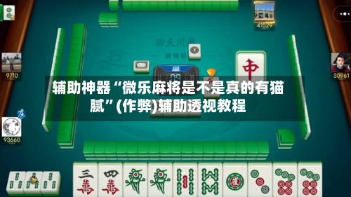 辅助神器“微乐麻将是不是真的有猫腻”(作弊)辅助透视教程