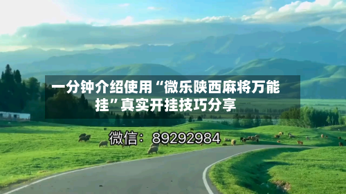 一分钟介绍使用“微乐陕西麻将万能挂”真实开挂技巧分享-第2张图片