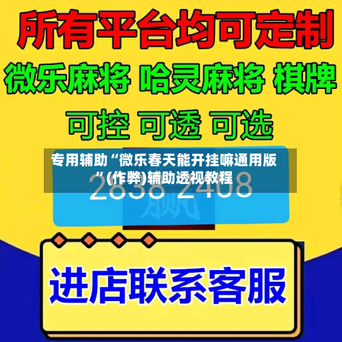 专用辅助“微乐春天能开挂嘛通用版”(作弊)辅助透视教程-第3张图片
