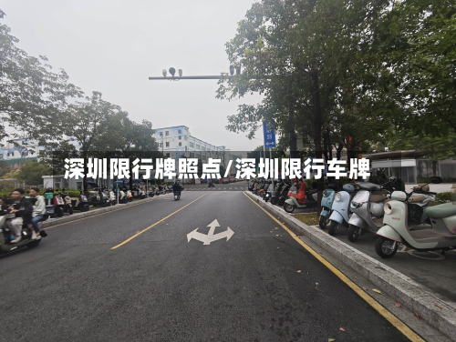 深圳限行牌照点/深圳限行车牌-第3张图片
