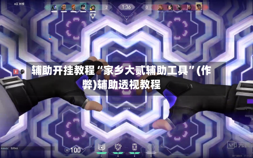 辅助开挂教程“家乡大贰辅助工具”(作弊)辅助透视教程-第2张图片