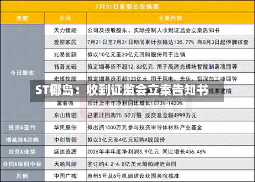 ST椰岛:收到证监会立案告知书-第2张图片