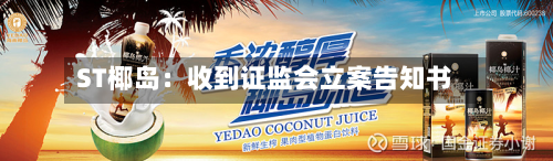 ST椰岛：收到证监会立案告知书