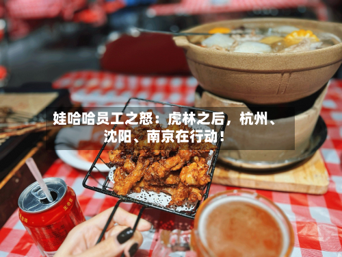 娃哈哈员工之怒：虎林之后，杭州、沈阳	、南京在行动！-第2张图片