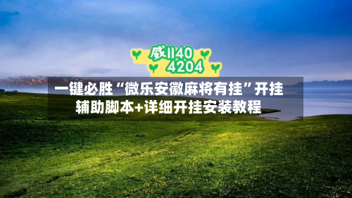 一键必胜“微乐安徽麻将有挂”开挂辅助脚本+详细开挂安装教程-第2张图片