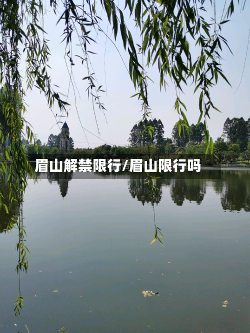 眉山解禁限行/眉山限行吗-第2张图片