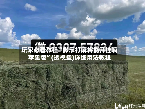 玩家必看教程“微乐打麻将能开挂嘛苹果版”(透视挂)详细用法教程