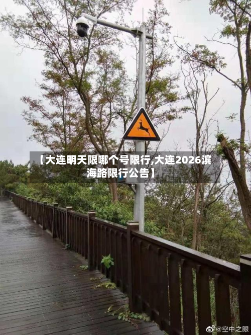 【大连明天限哪个号限行,大连2026滨海路限行公告】