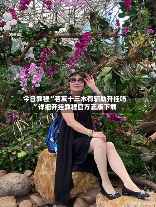 今日教程“老友十三水有辅助开挂吗	”详细开挂教程官方正版下载-第2张图片